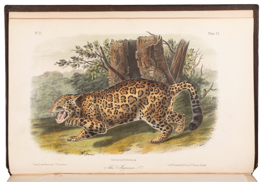  AUDUBON, John James (1785–1851) and BACHMAN, John (1790–187...