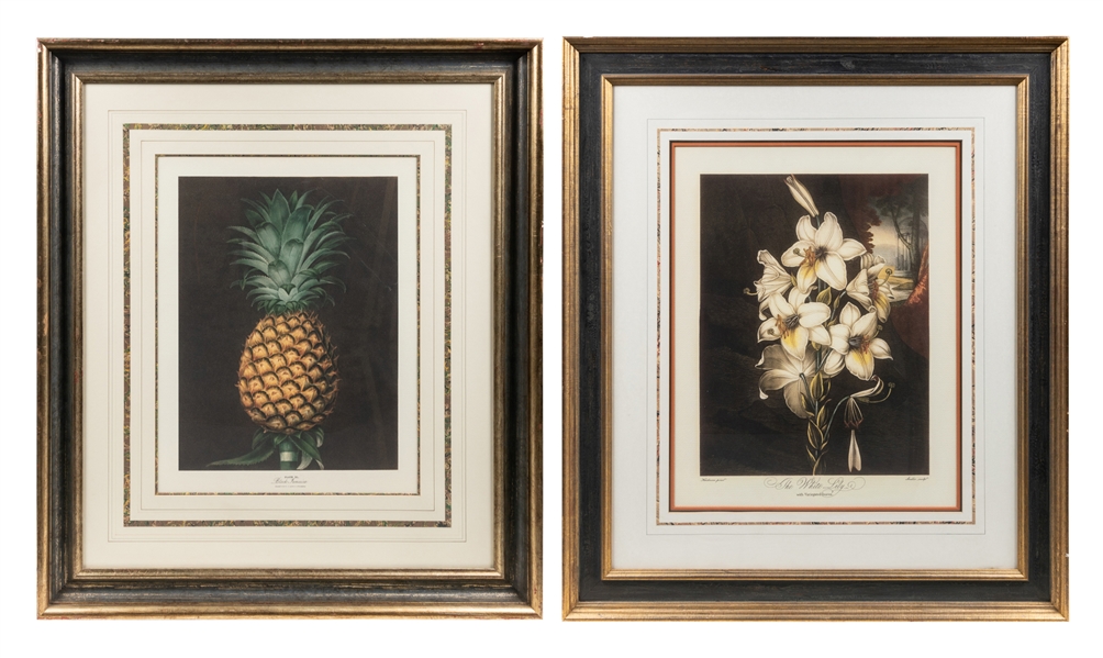  [PRINTS]. Two Prints / Pineapple and Lilies. Circa 1990s–20...