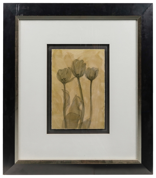  Four Works / Plants & Nature. Circa 1990s–2000s. Mixed Medi...