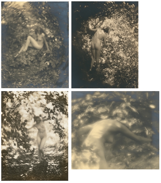  COOK, Charles (American, 20th century) Nudes in Woodland La...