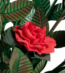 Flowering Rose Bush. Azusa: Owen Magic Supreme, 1990s. A ba...