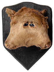 [FREAK]. Freakatorium Two-Headed Cow Head Mount Taxidermy. ...