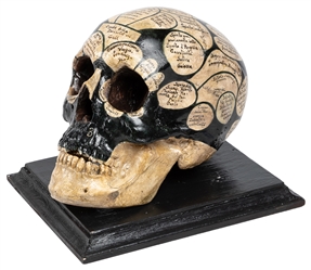 Antique Italian Phrenology Skull. Circa 1852. Heavy skull o...