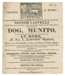 [LEARNED DOG]. Munito, At Home! [London]: Denham, Printer, ...