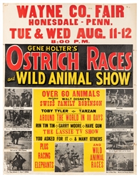 Gene Holter's Ostrich Races and Wild Animal Show. Circa 195...