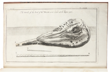  [WHALING]. [GREENLAND]. An Account of a Most Dangerous Voya...