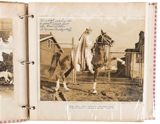  Ringling Bros. and Barnum & Bailey binder of ephemera. Circ...