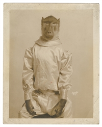  [SCRAPBOOK]. Disbound Leaves of an Early German Circus Scra...