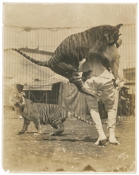  STARK, Mabel. Group of Five Photographs. Set of photographs...