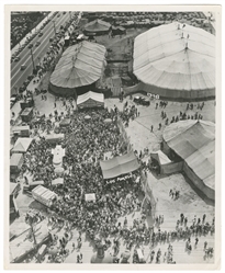  Clyde Beatty-Cole Bros Circus Photo Album and Ephemera. Cir...