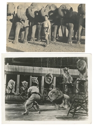  Clyde Beatty-Cole Bros Circus Photo Album and Ephemera. Cir...