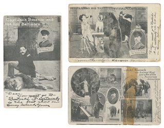  Three Bostock Menagerie Postcards. Three postcards depictin...