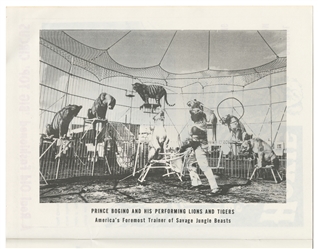  Hoxie Bros. and other Circus Programs and Newspaper. Circa ...