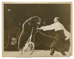  Eight Photographs and Postcards of Circus Bear Trainers. Ei...