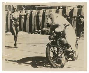  Eight Photographs and Postcards of Circus Bear Trainers. Ei...