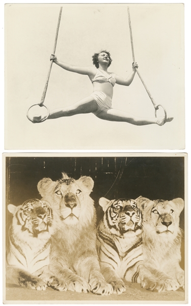   Seven Circus Photographs by H.A. Atwell. Seven photographs...