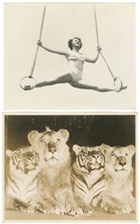   Seven Circus Photographs by H.A. Atwell. Seven photographs...