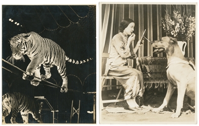   Seven Circus Photographs by H.A. Atwell. Seven photographs...