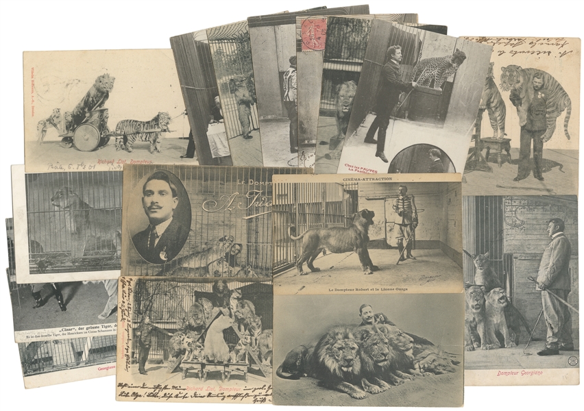  Collection of Circus Big Cat Postcards. Eighteen European p...