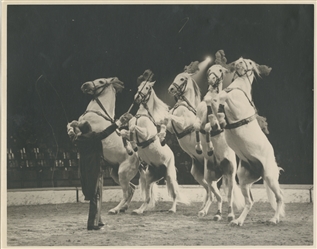  DANNES, Pierre J. (1910 – 1985). Archive of Circus Photogra...