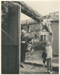  DANNES, Pierre J. (1910 – 1985). Archive of Circus Photogra...