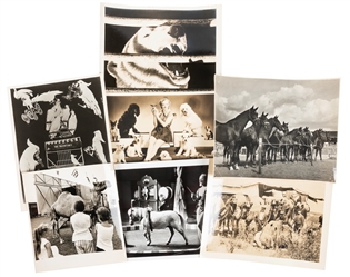  Archive of Circus Animal Photos. Circa early 20th century. ...