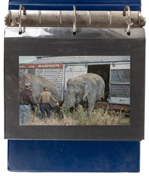  Ringling Bros and Barnum &. Bailey railroad and wagons phot...