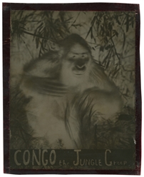 [HUBERT'S MUSEUM]. Group of 4 photos. Including: Hubert's M...