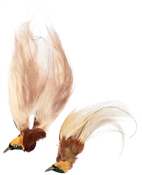  Pair of Bird of Paradise Mounts. One in very good condition...