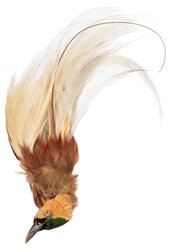  Pair of Bird of Paradise Mounts. One in very good condition...