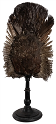  Victorian Capercaillie Taxidermy Screen on Stand. Taxidermy...