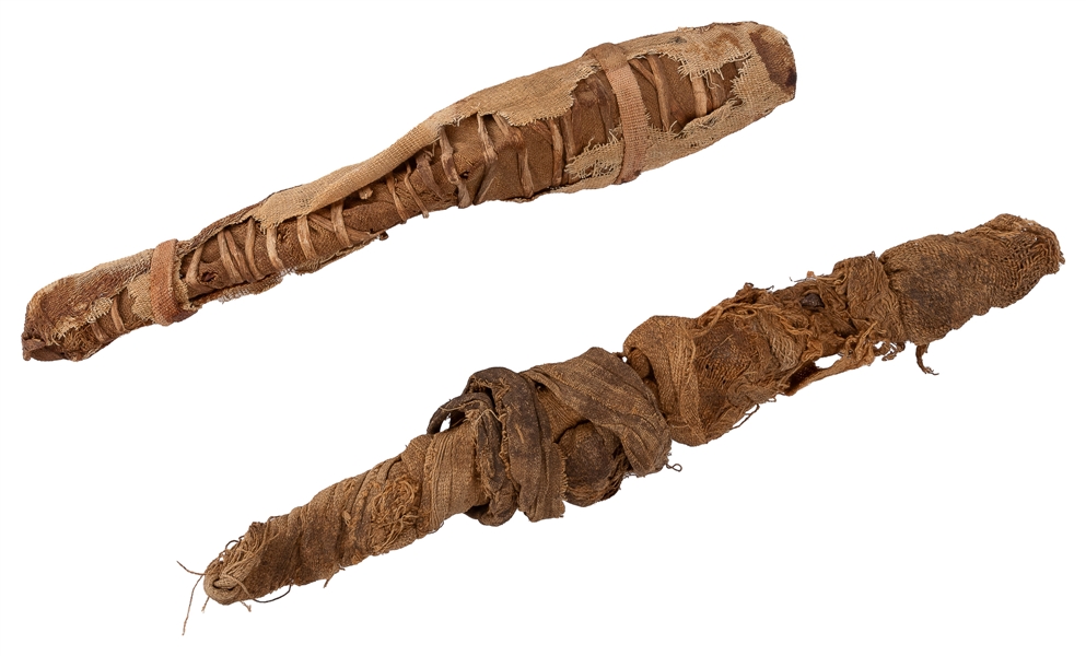  Egyptian Mummified Nile Perch and Baby Crocodile. Third Int...
