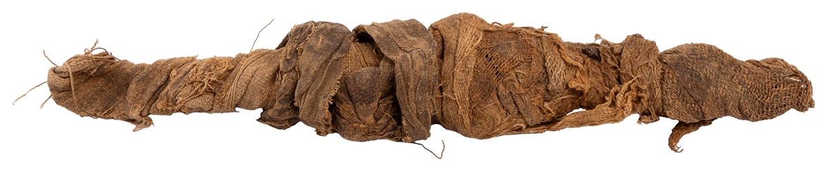  Egyptian Mummified Nile Perch and Baby Crocodile. Third Int...