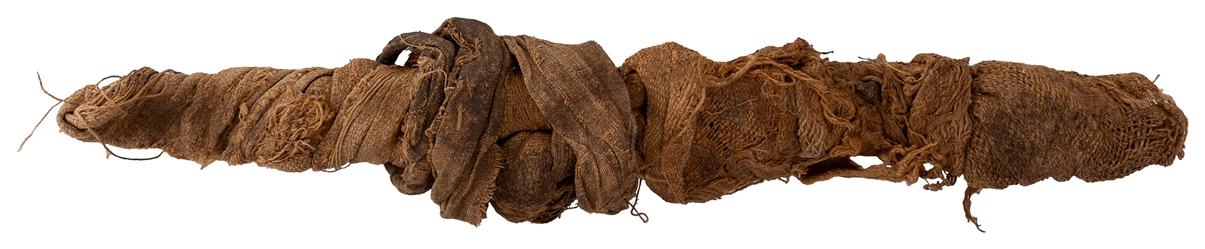  Egyptian Mummified Nile Perch and Baby Crocodile. Third Int...