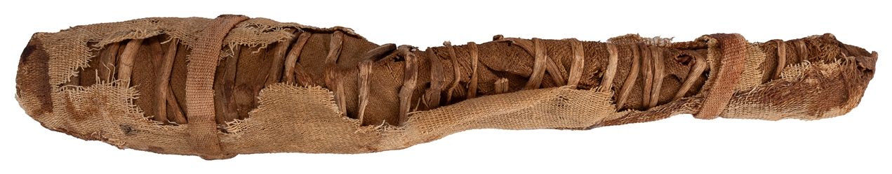  Egyptian Mummified Nile Perch and Baby Crocodile. Third Int...