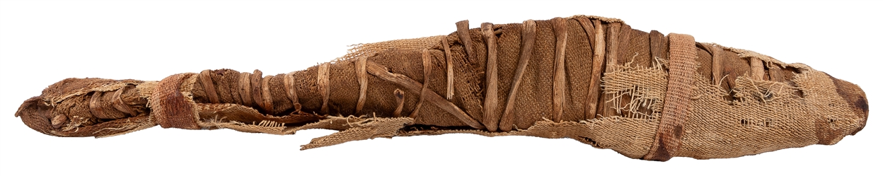  Egyptian Mummified Nile Perch and Baby Crocodile. Third Int...