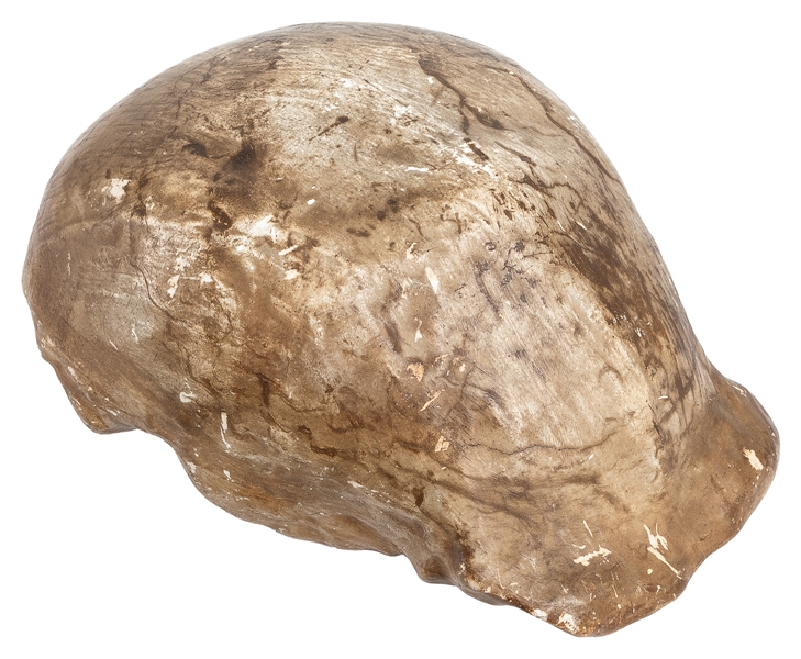  Cast of “Java Man" Skull (Pithecanthropus erectus). Painted...