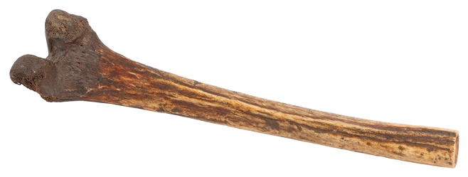  Kangling Human Bone Trumpet. Sikkim, India, ca. 19th centur...