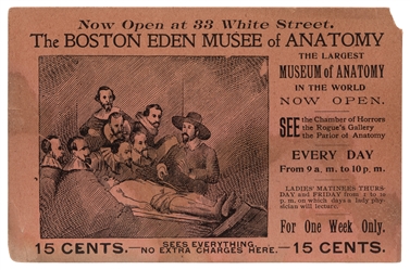  Wax Anatomical Dissection Face and Anatomy Museum trade car...