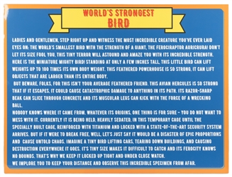  World's Strongest Bird Sideshow Display. Birdcage with two ...