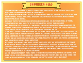  Shrunken Head Gaff Display. Circa 20th century. Gaff shrunk...