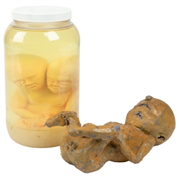  Sideshow Two Headed Baby “Pickled Punk Display Jar. Silico...