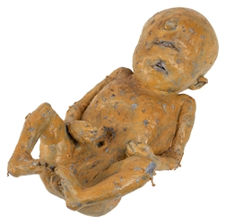  Sideshow Two Headed Baby “Pickled Punk Display Jar. Silico...
