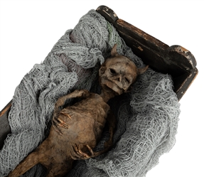  Hull House Devil Baby Sideshow Gaff. Baby figure with devil...
