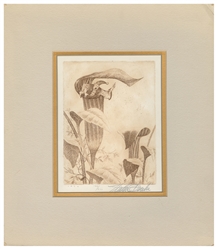  PARKE, Walter (American, 1909-1994). Group of Seven Etching...