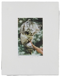 SMITH, Kiki (American, b. 1954). Leap Year. 2014. Set of 3 ...