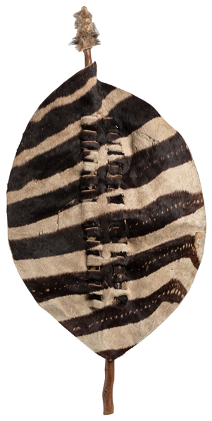  South African Zulu Warrior Zebra Hide Shield. (Early 20th c...