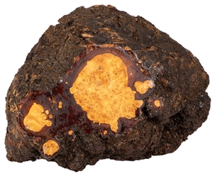 [DECORATIVE ARTS]. ARTIST UNKNOWN. Burl Wood Bowl. 