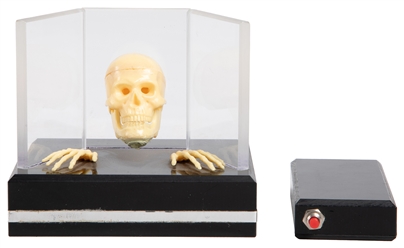  Anverdi Talking Skull. Holland: Anverdi, 1970s. A miniature...
