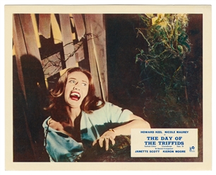  The Day of the Triffids Photography Stills. Set of 8 (8 x 1...